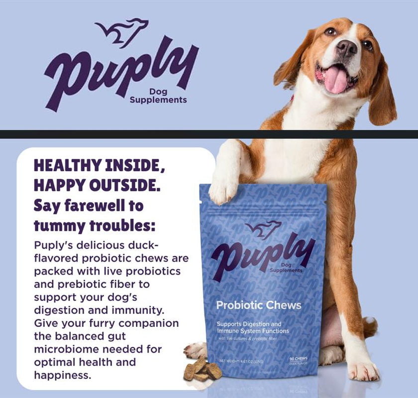 Puply Probiotics for Dogs - Veterinarian-Formulated Soft Chews