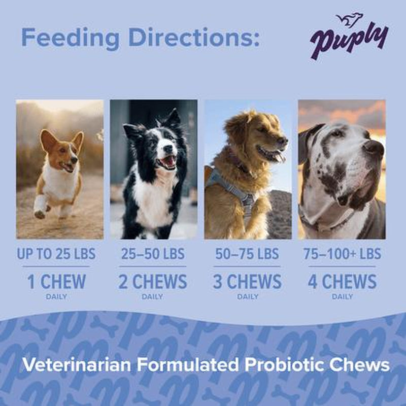 Puply Probiotics for Dogs - Veterinarian-Formulated Soft Chews