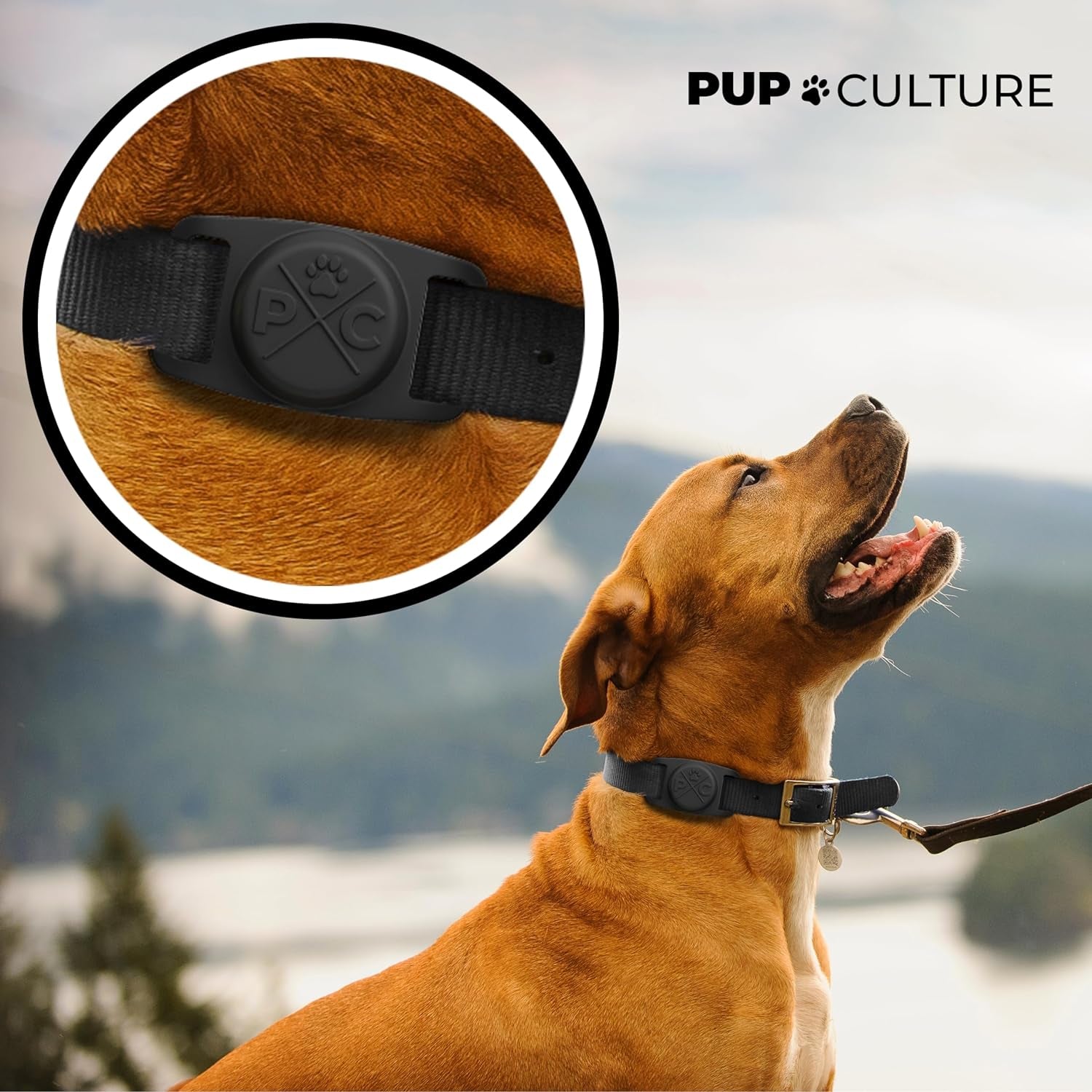 Protective AirTag Collar Case
