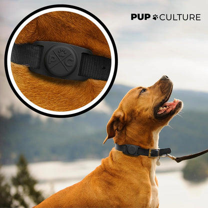 Protective AirTag Collar Case